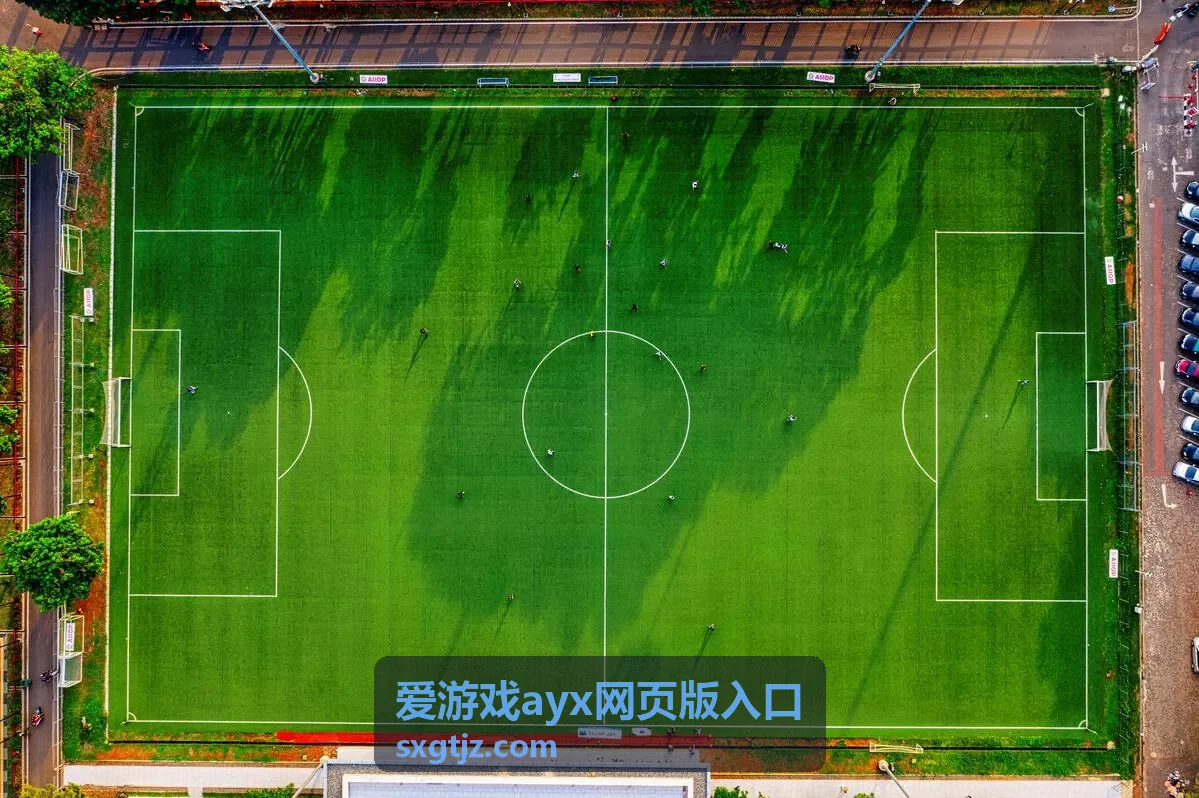 爱游戏ayx网页版入口账号登录与个人中心界面