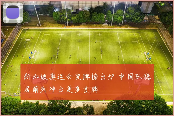 新加坡奥运会奖牌榜出炉 中国队稳居前列冲击更多金牌