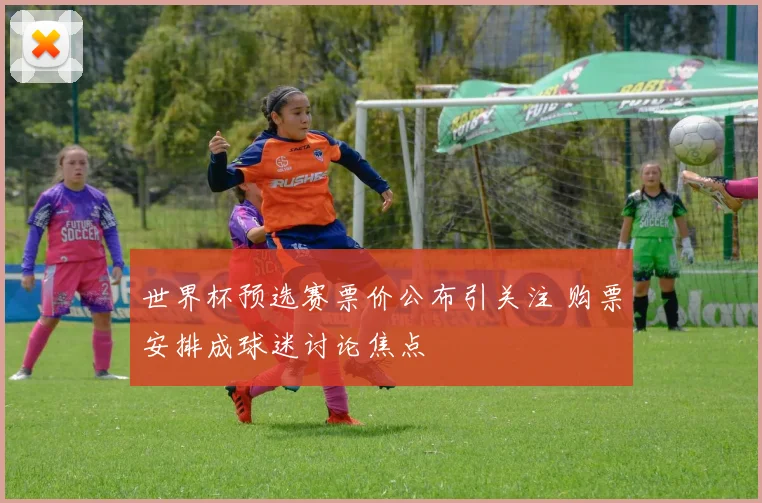 世界杯预选赛票价公布引关注 购票安排成球迷讨论焦点