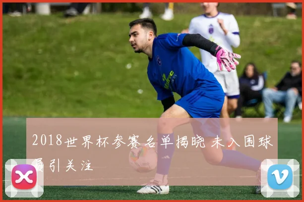 2018世界杯参赛名单揭晓 未入围球员引关注