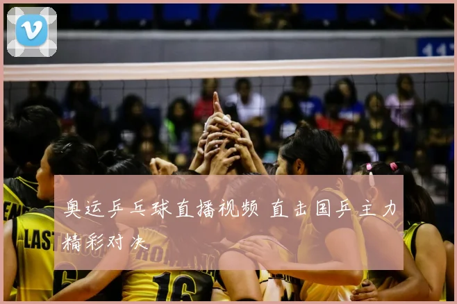奥运乒乓球直播视频 直击国乒主力精彩对决